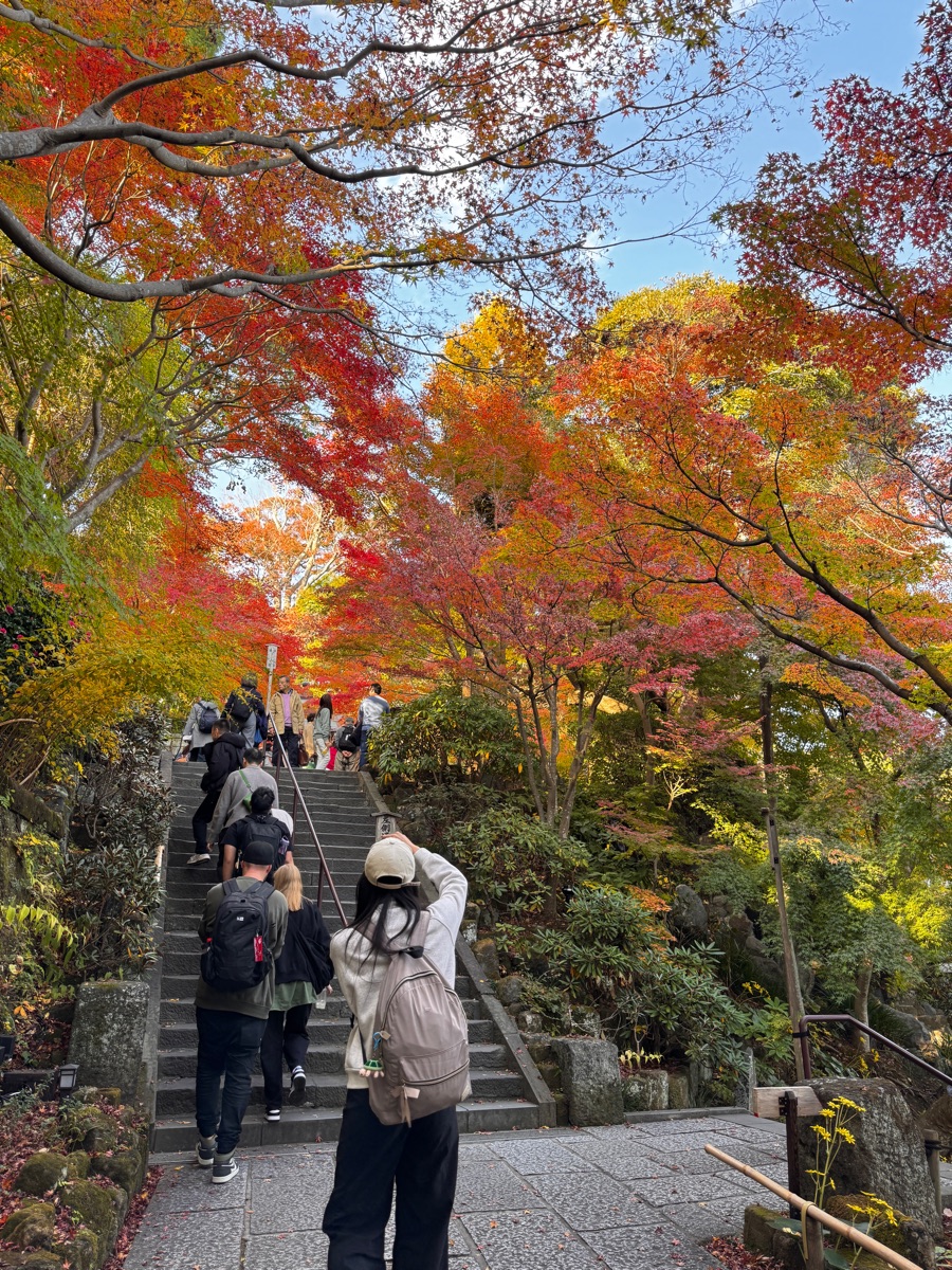 Hasedera | 去趣 chicTrip