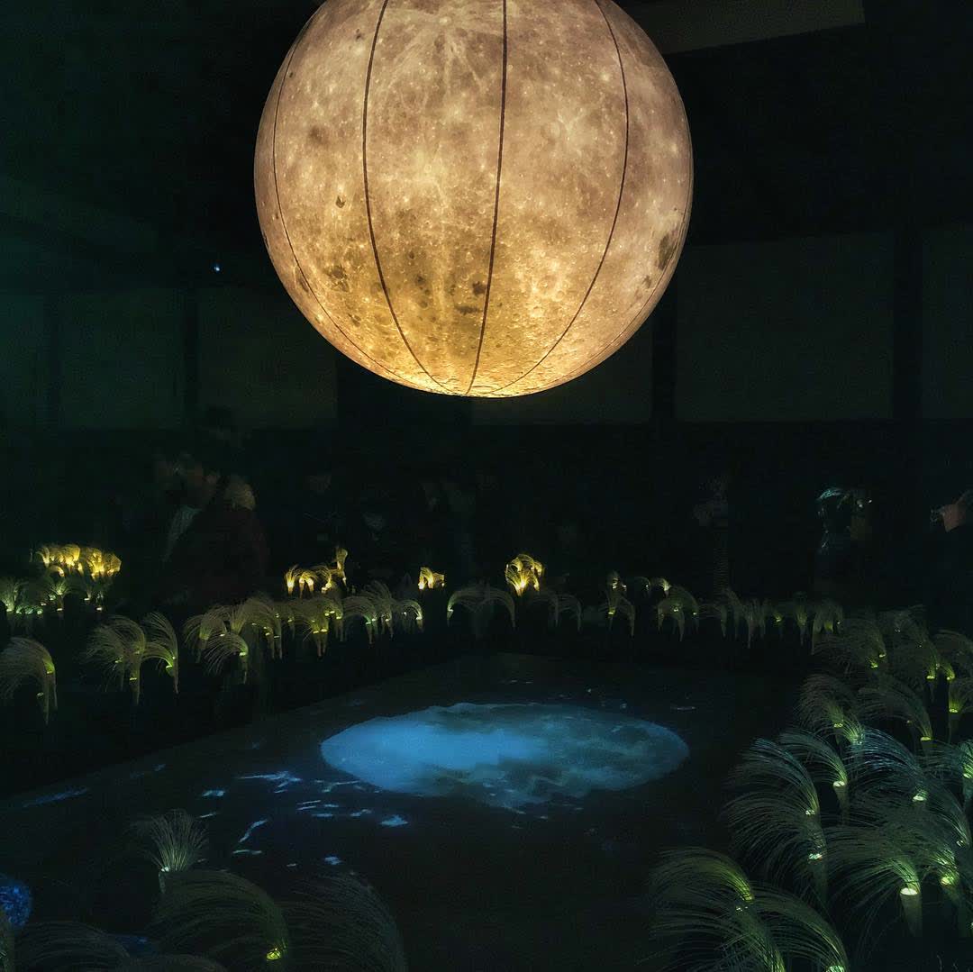 二條城 | 去趣 chicTrip