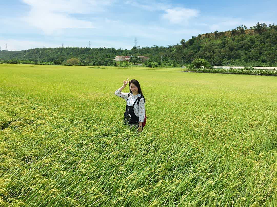 外埔忘憂谷 | 去趣 chicTrip