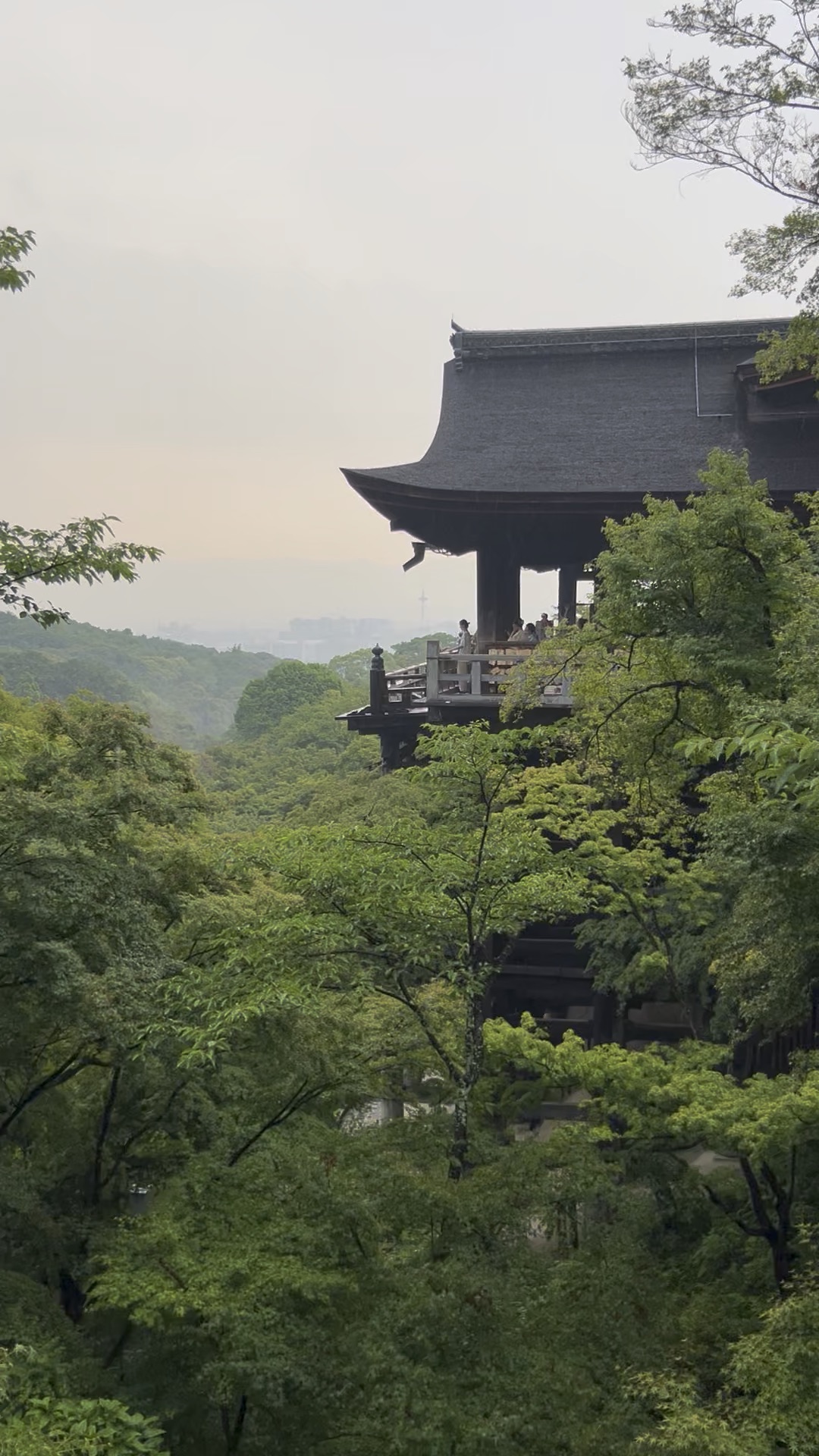 清水寺 | 去趣 chicTrip
