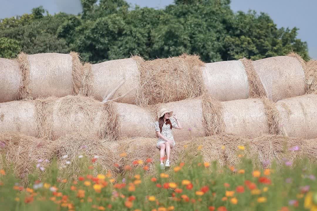 北港糖廠 | 去趣 chicTrip