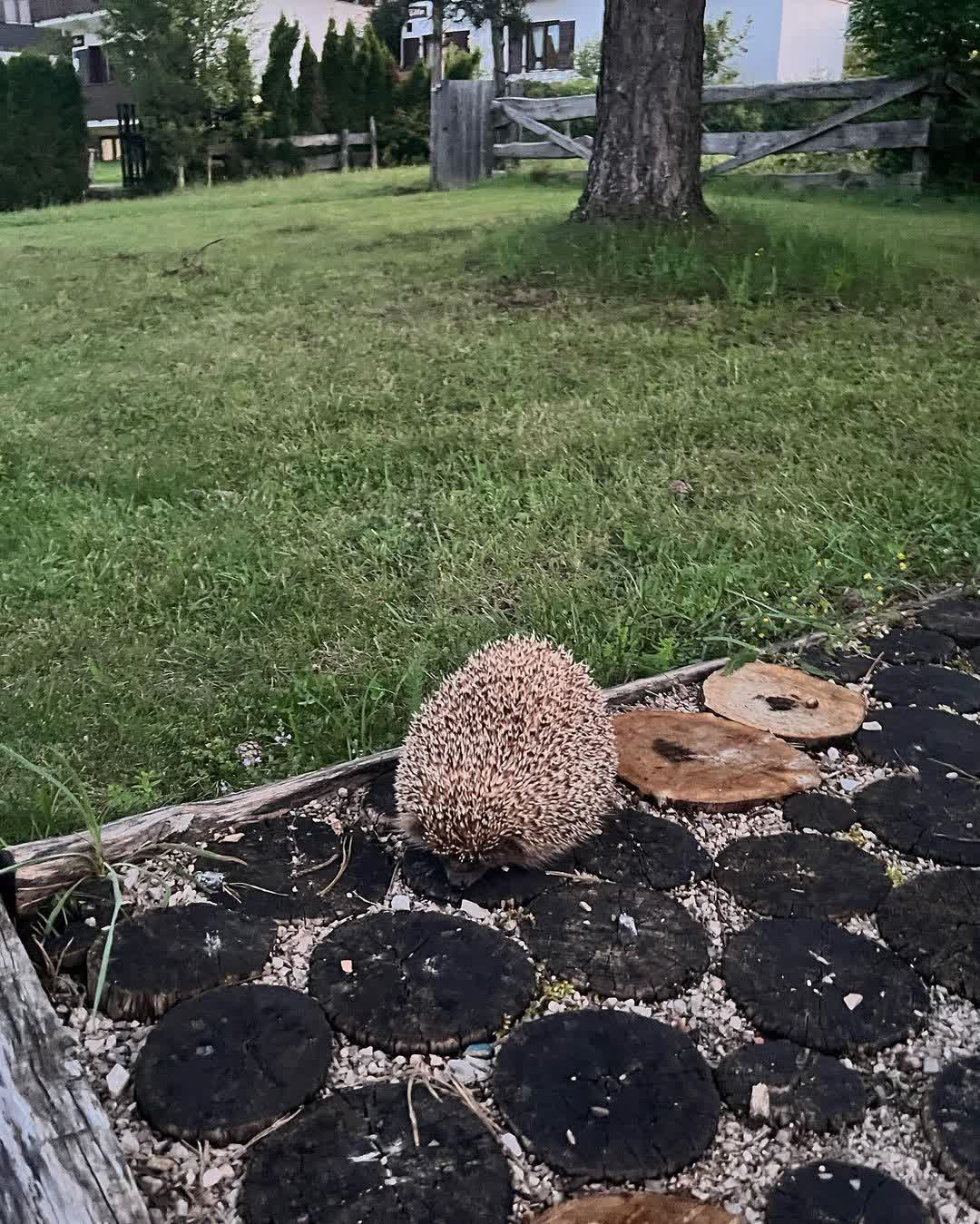 普利特維採湖群國家公園 | 去趣 chicTrip