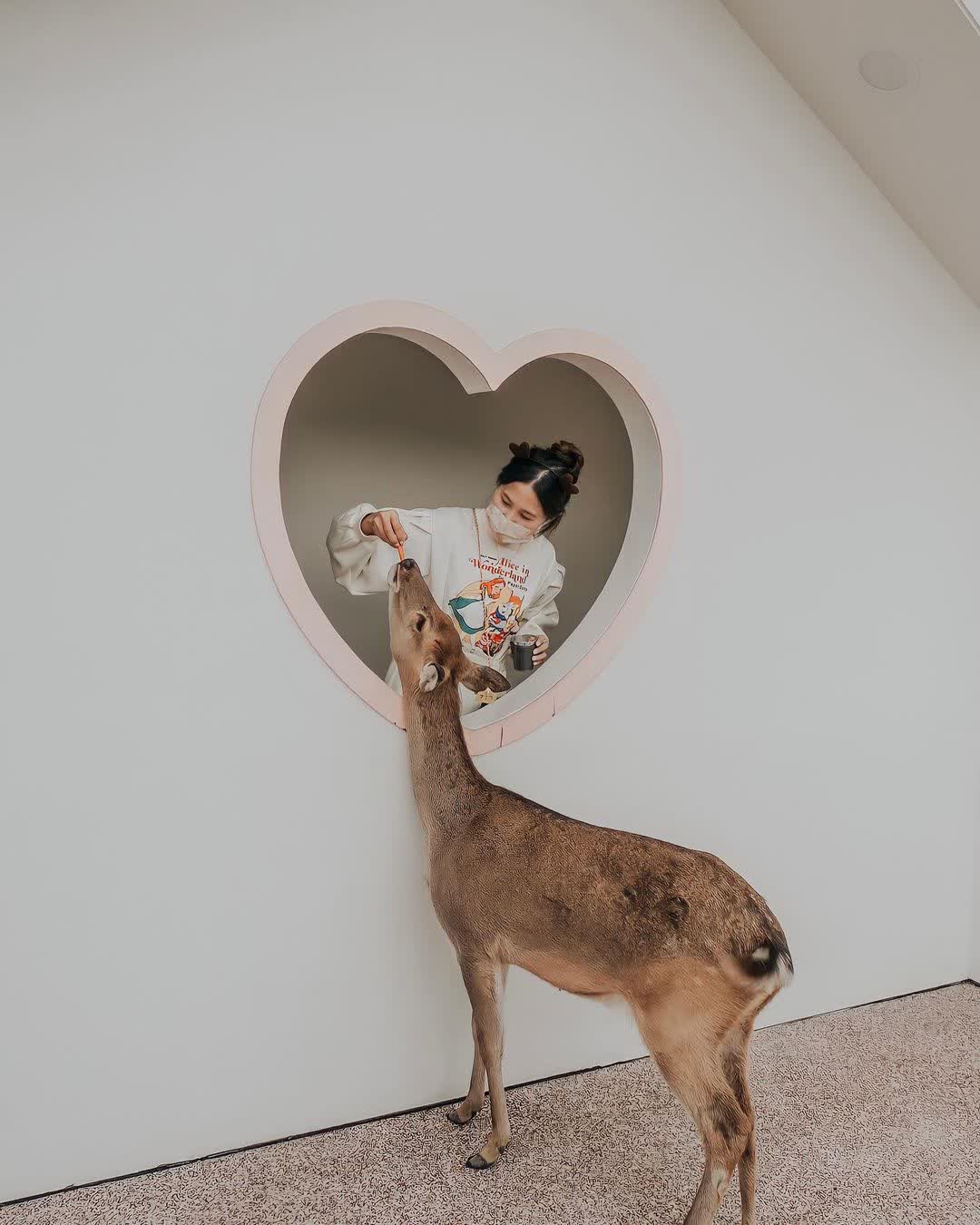 宜蘭-斑比山丘 | 去趣 chicTrip