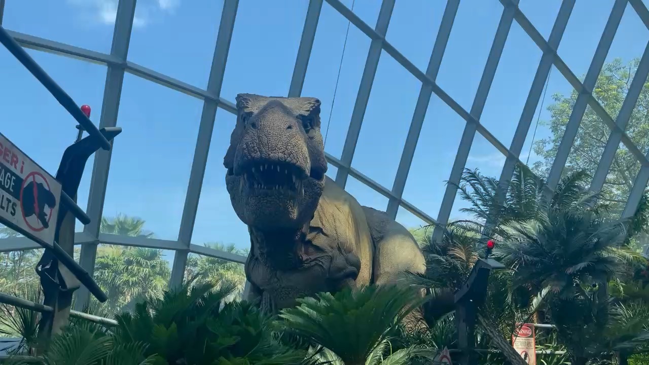 雲霧林 | 去趣 chicTrip