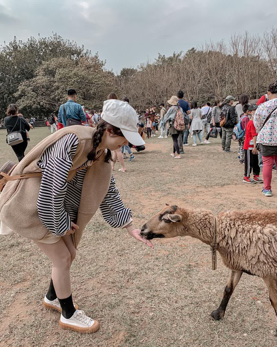 埔心牧場 | 去趣 chicTrip