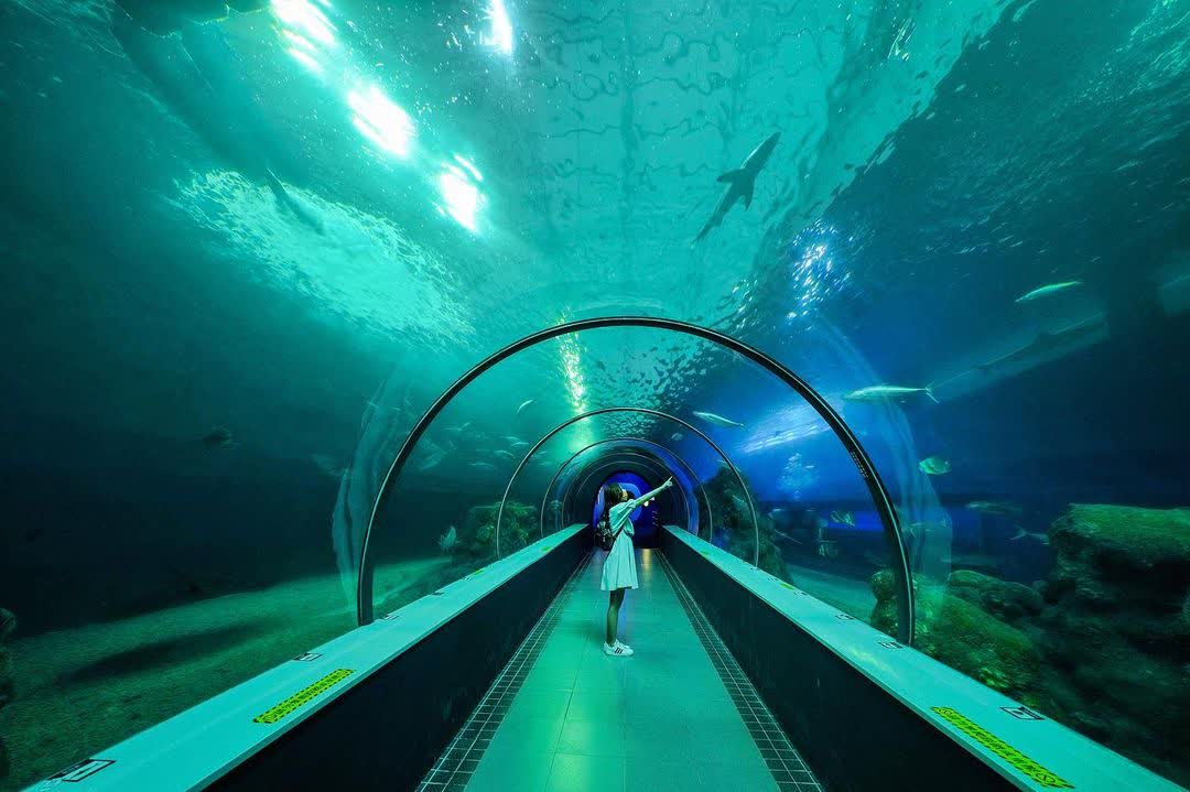 澎湖水族館 | 去趣 chicTrip