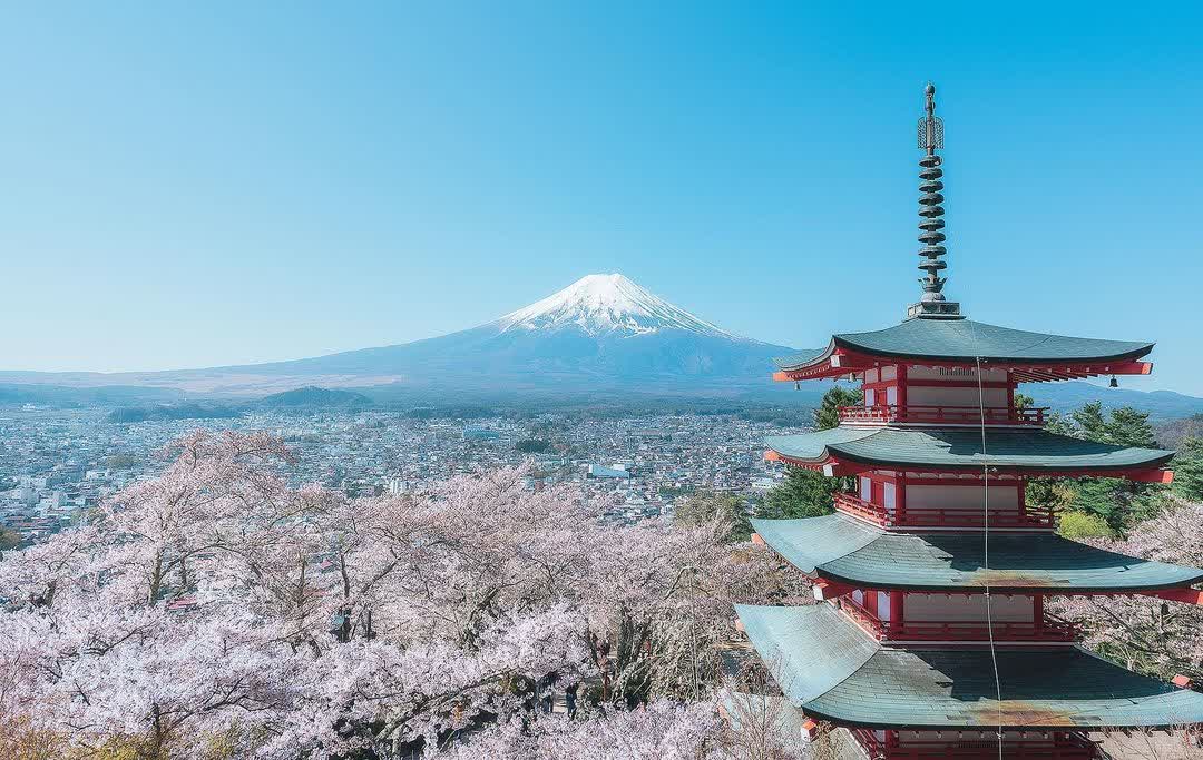 新倉山淺間公園 | 去趣 chicTrip