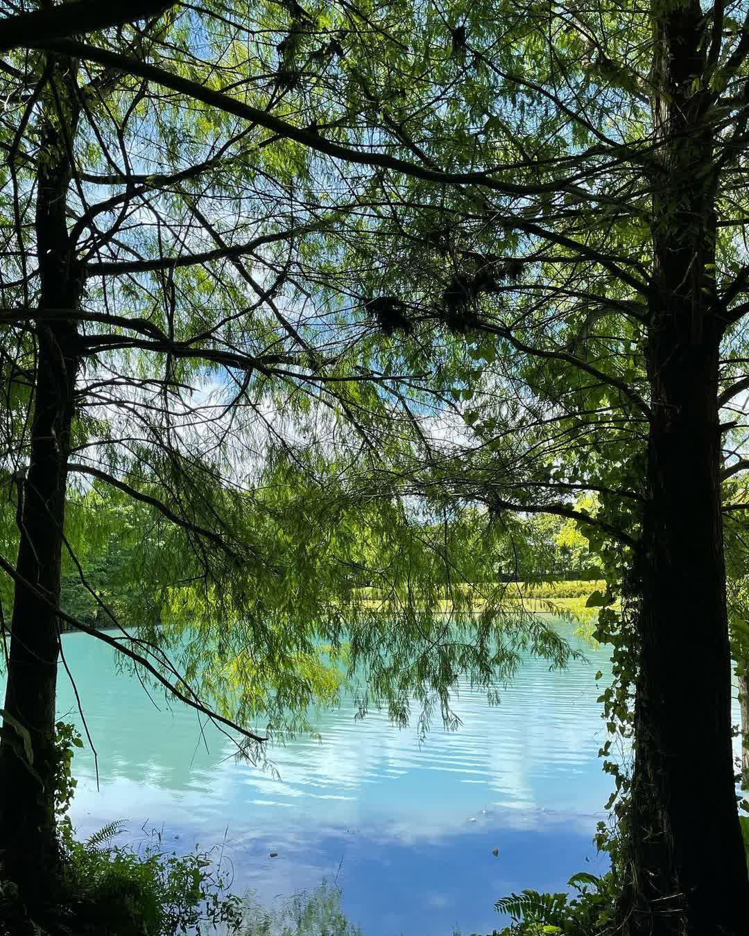 花蓮雲山水夢幻湖 | 去趣 chicTrip