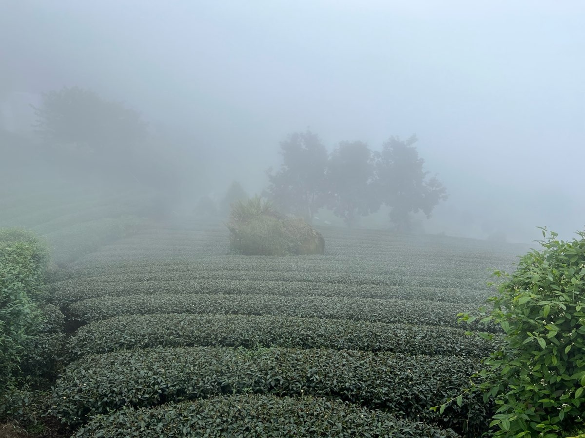 二延平步道 | 去趣 chicTrip