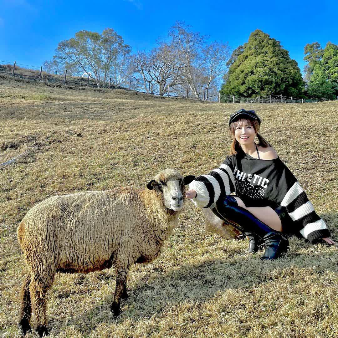 清境農場綿羊秀 | 去趣 chicTrip