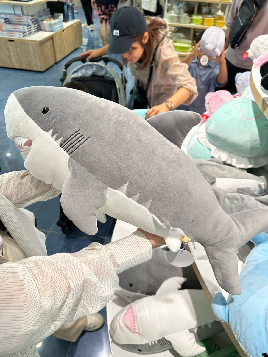 海遊館 | 去趣 chicTrip