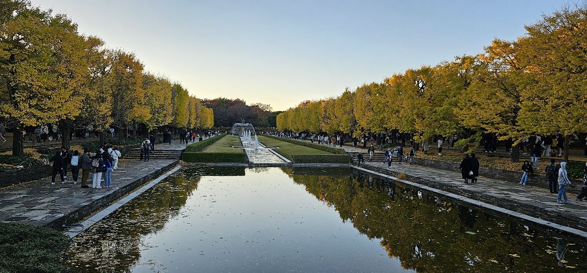 昭和紀念公園 | 去趣 chicTrip