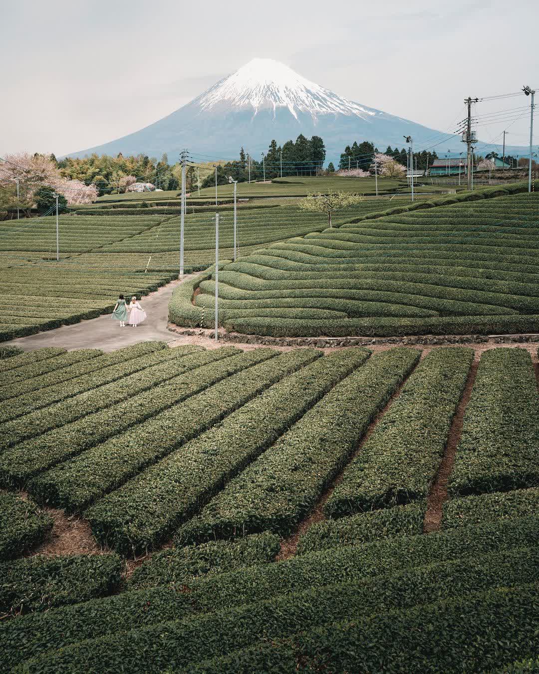 富士山 | 去趣 chicTrip