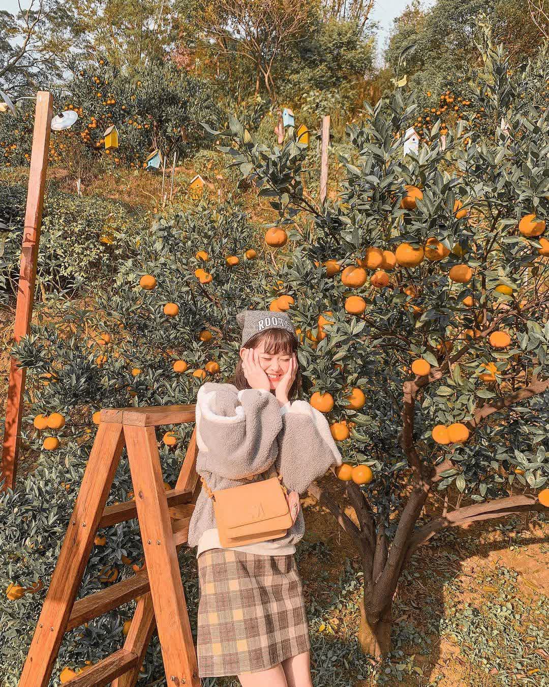 橙香森林 | 去趣 chicTrip