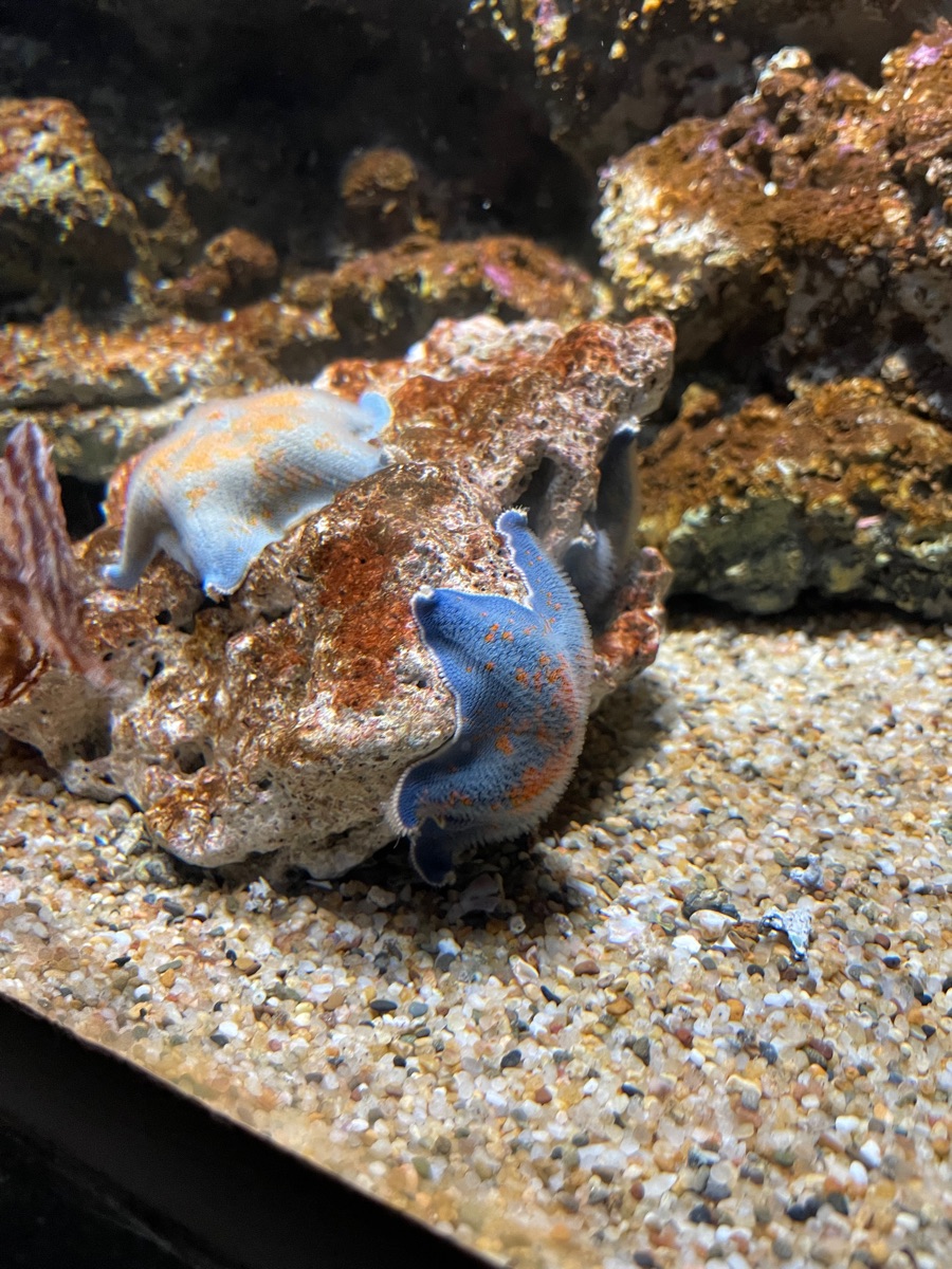 Xpark 水族館 | 去趣 chicTrip