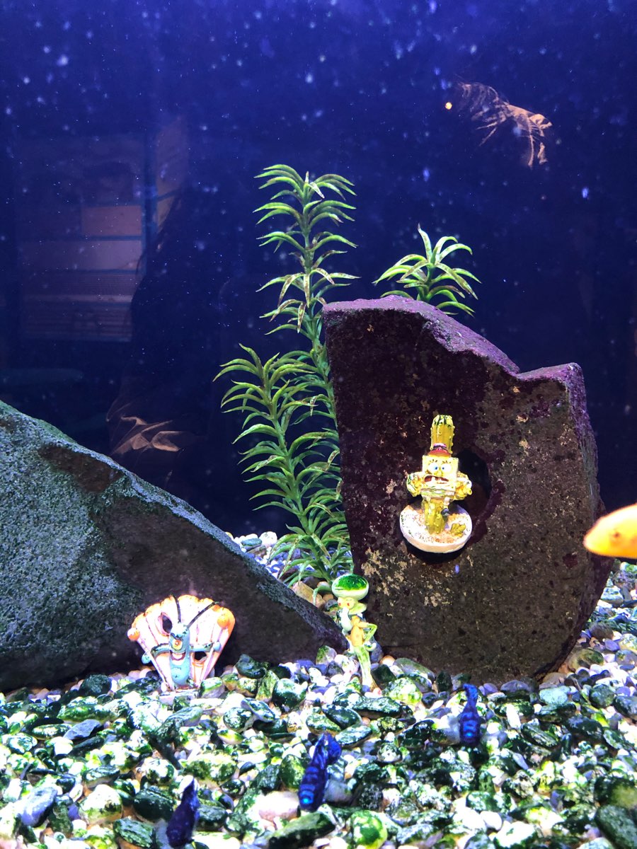 澎湖水族館 | 去趣 chicTrip