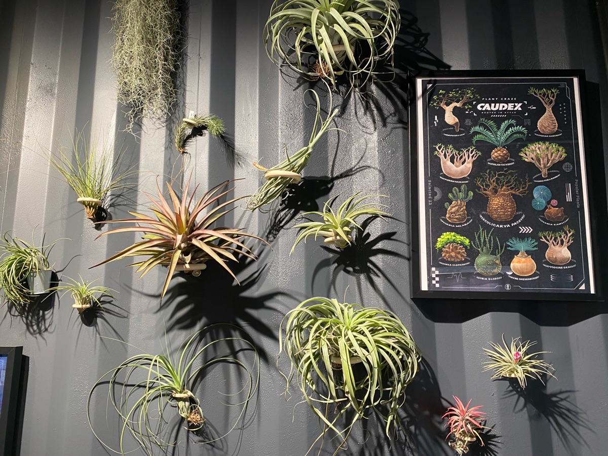 鹿芝谷生態景觀園區【試營運】 | 去趣 chicTrip