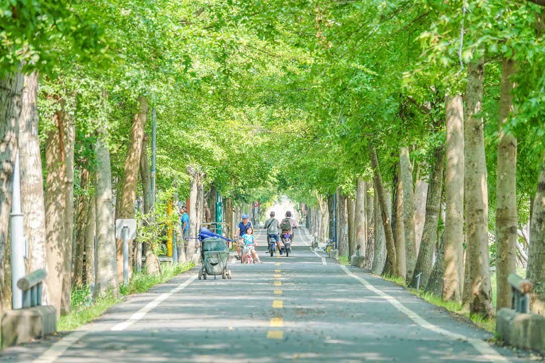 潭雅神綠園道 | 去趣 chicTrip