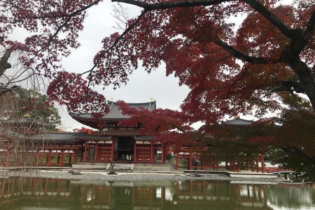 平等院 | 去趣 chicTrip