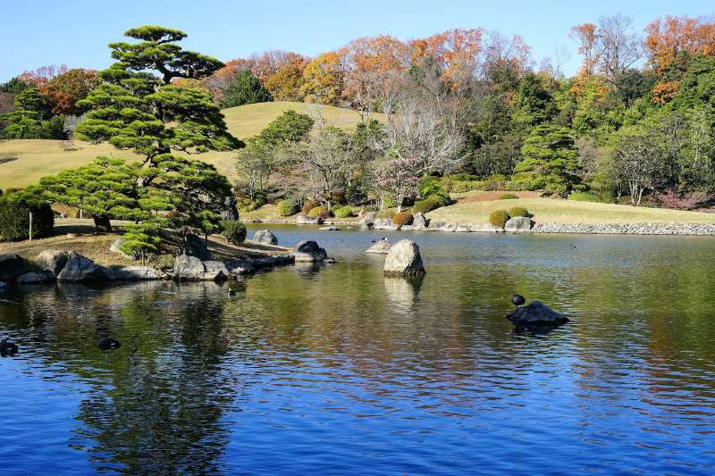 Japanese Garden | 去趣 chicTrip