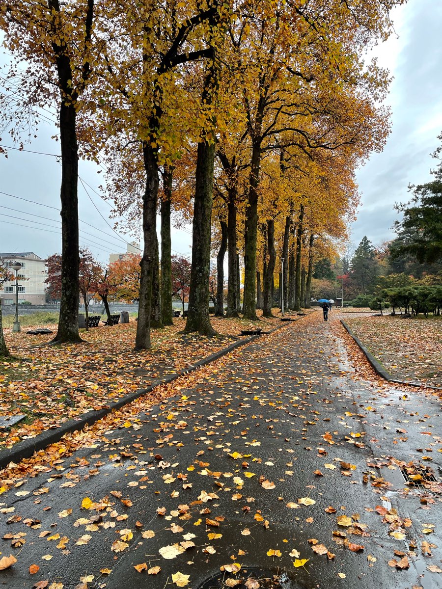 盛岡城跡公園（岩手公園） | 去趣 chicTrip