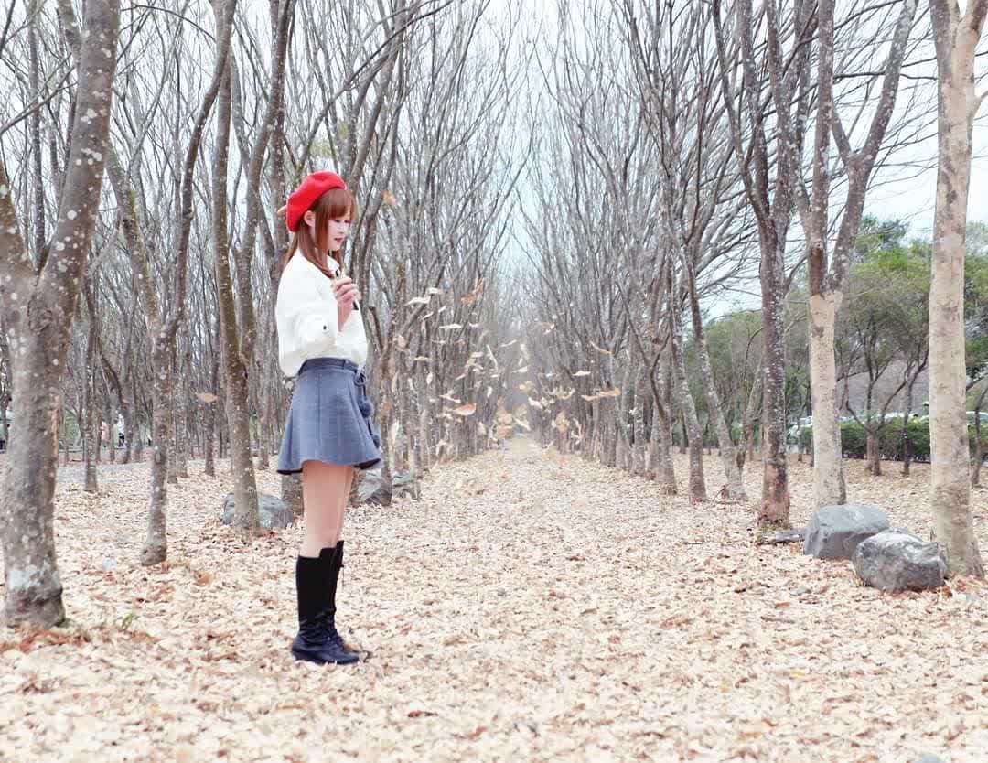 林後四林平地森林園區 | 去趣 chicTrip