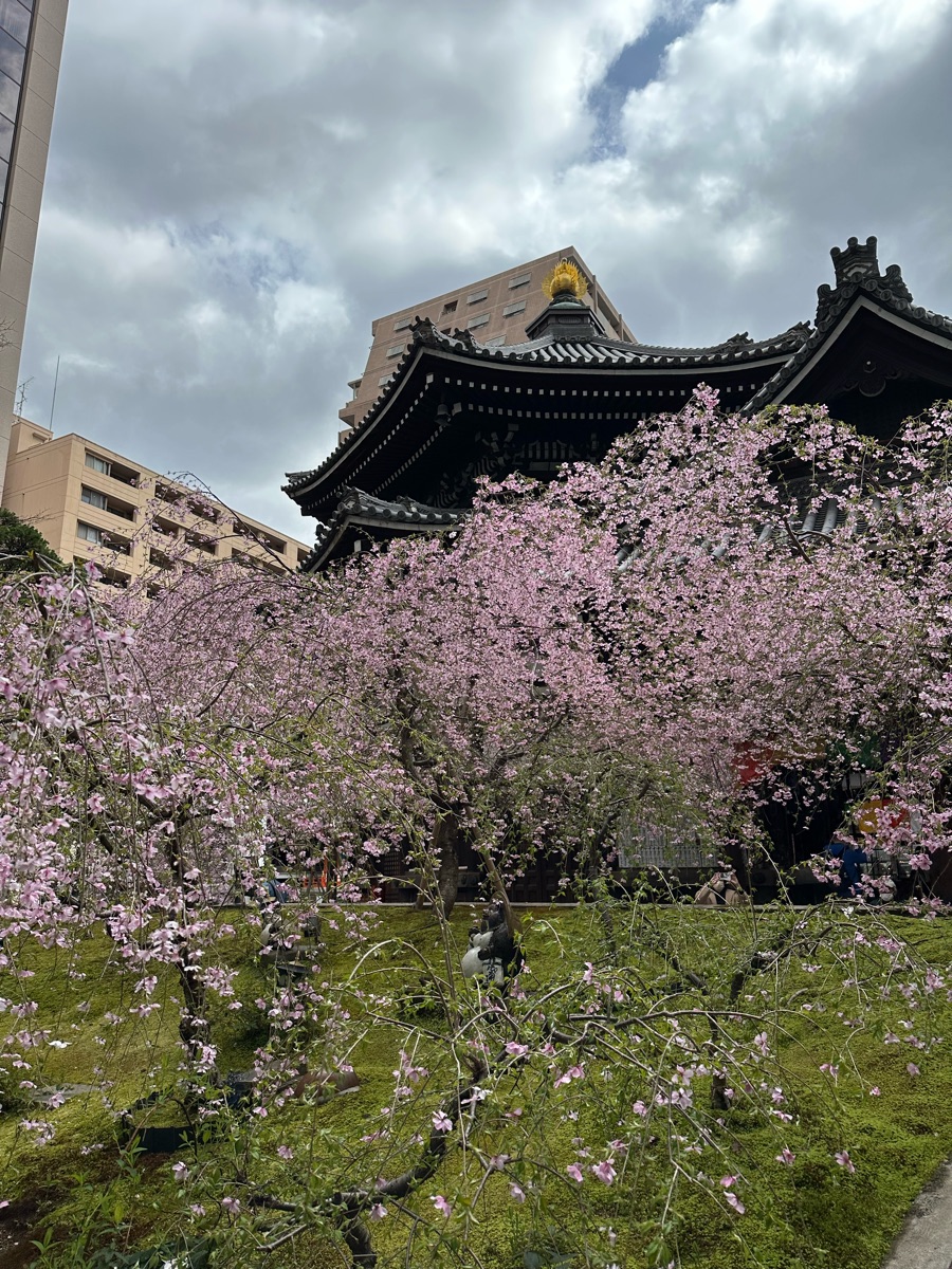 紫雲山 頂法寺（六角堂） | 去趣 chicTrip