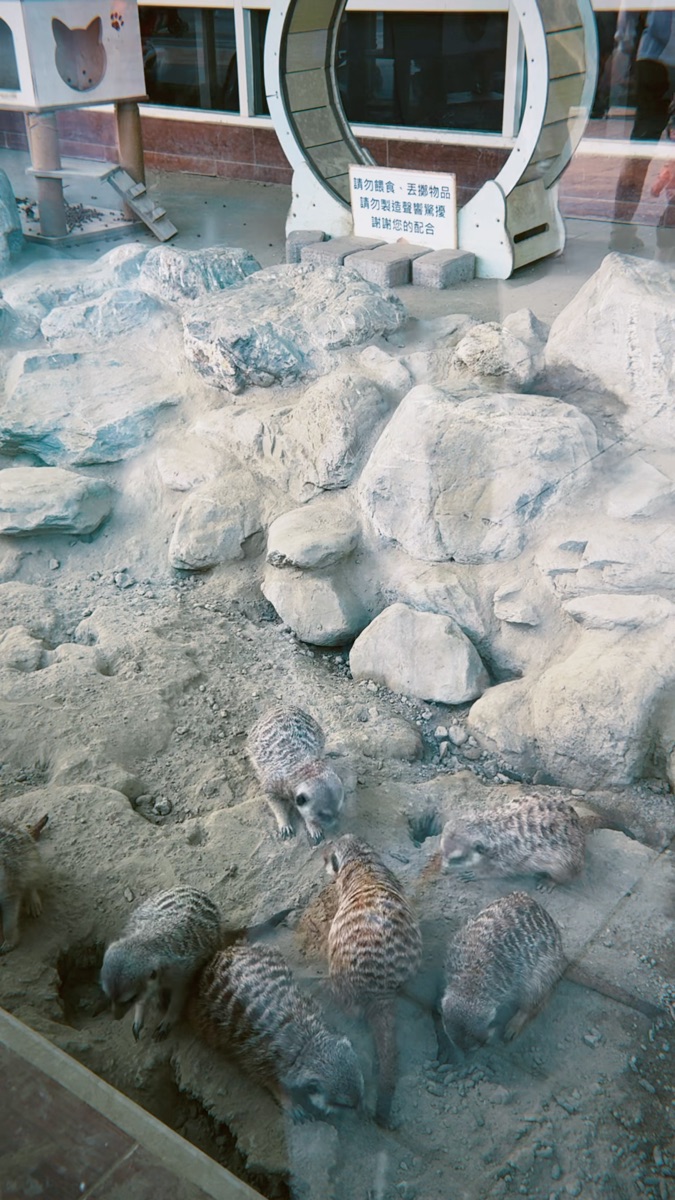 三隻小豬觀光農場 | 去趣 chicTrip