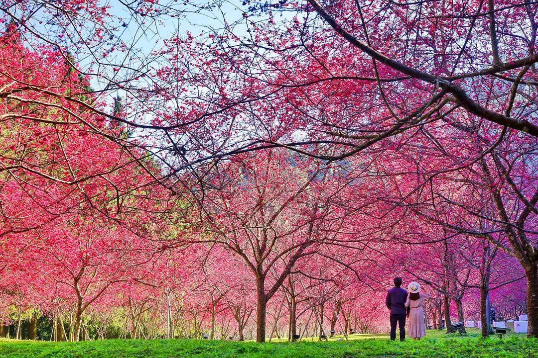 九族文化村 | 去趣 chicTrip