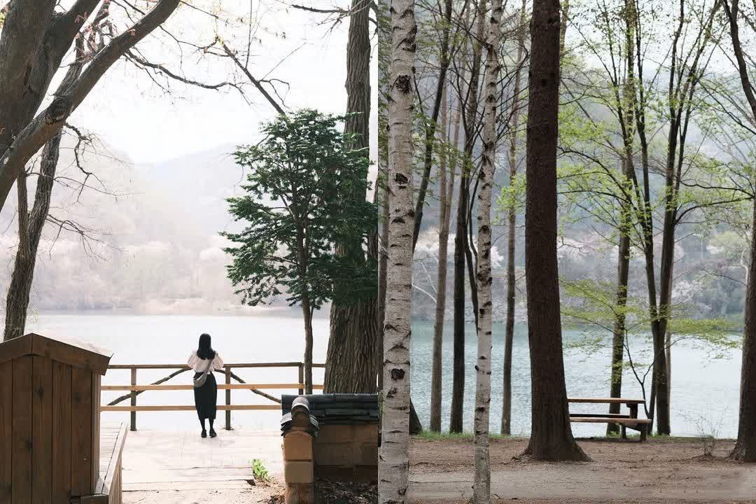 南怡島남이섬 | 去趣 chicTrip
