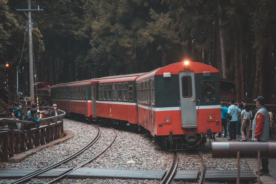 阿里山國家森林遊樂區 | 去趣 chicTrip