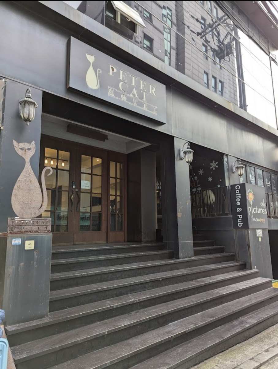 新村彼得貓飯店 | 去趣 chicTrip