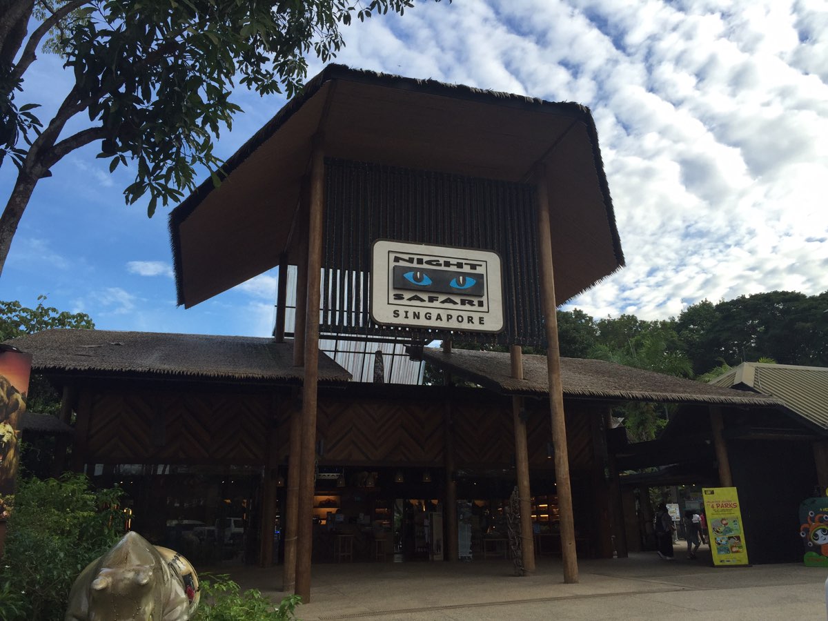 夜間野生動物園 | 去趣 chicTrip