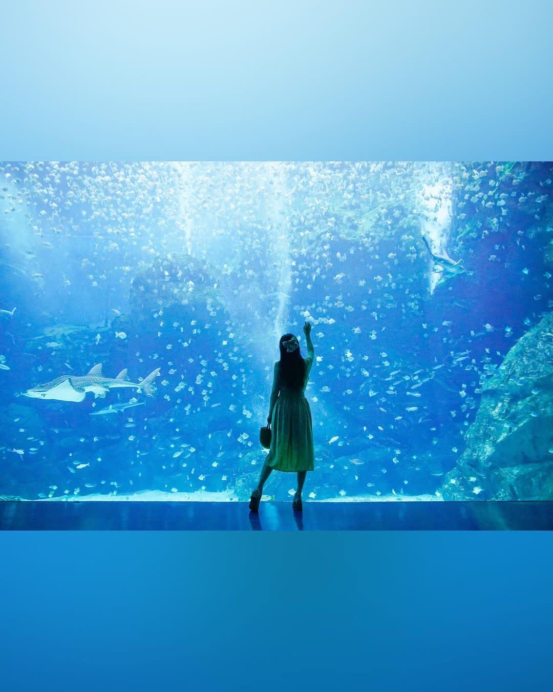 Xpark 水族館 | 去趣 chicTrip