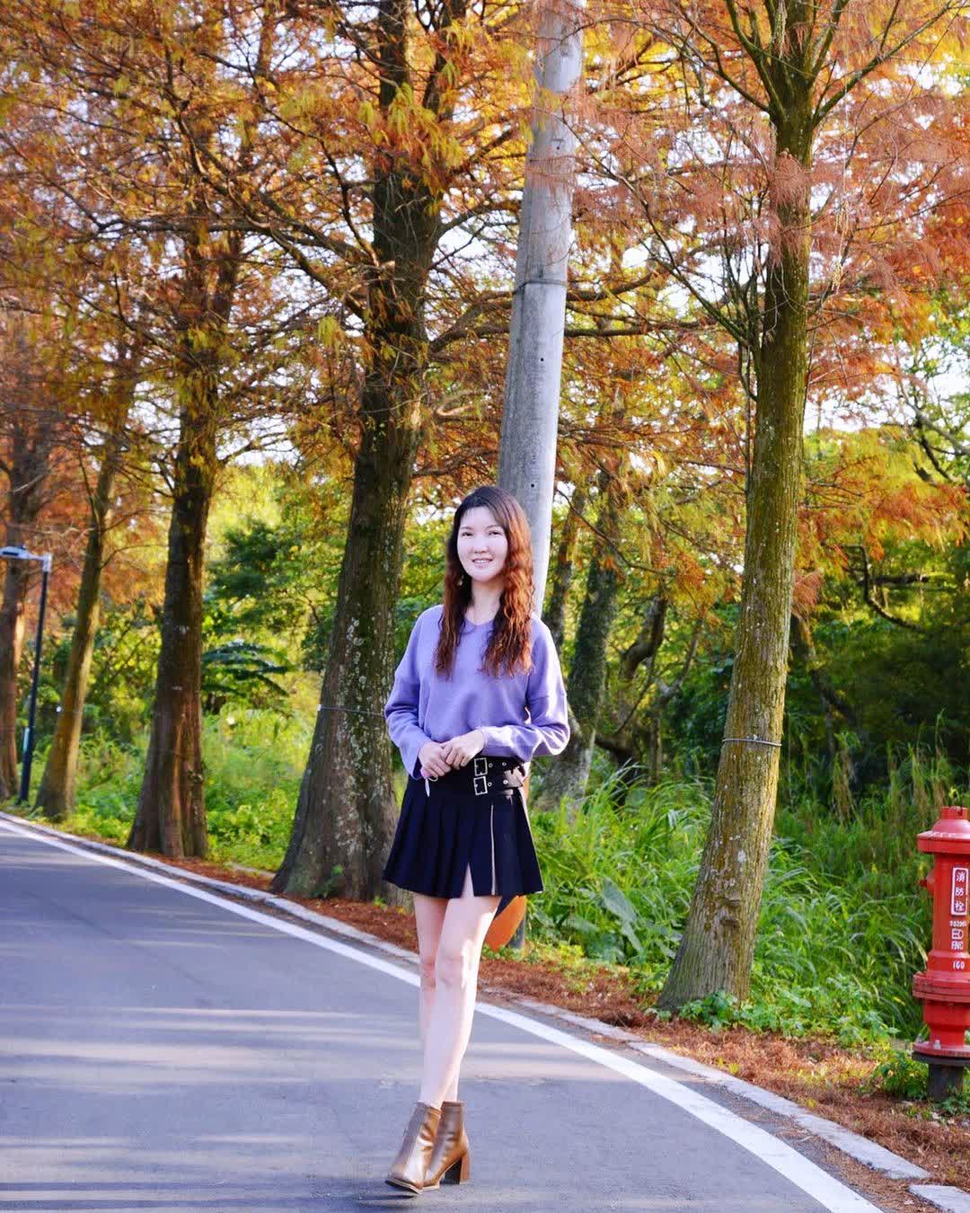 落羽松大道 | 去趣 chicTrip