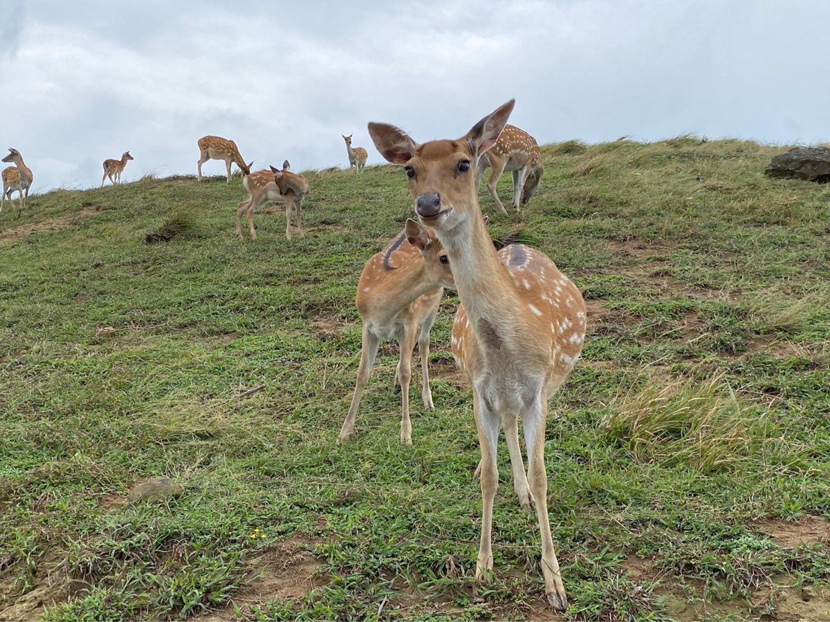 大坵島 | 去趣 chicTrip