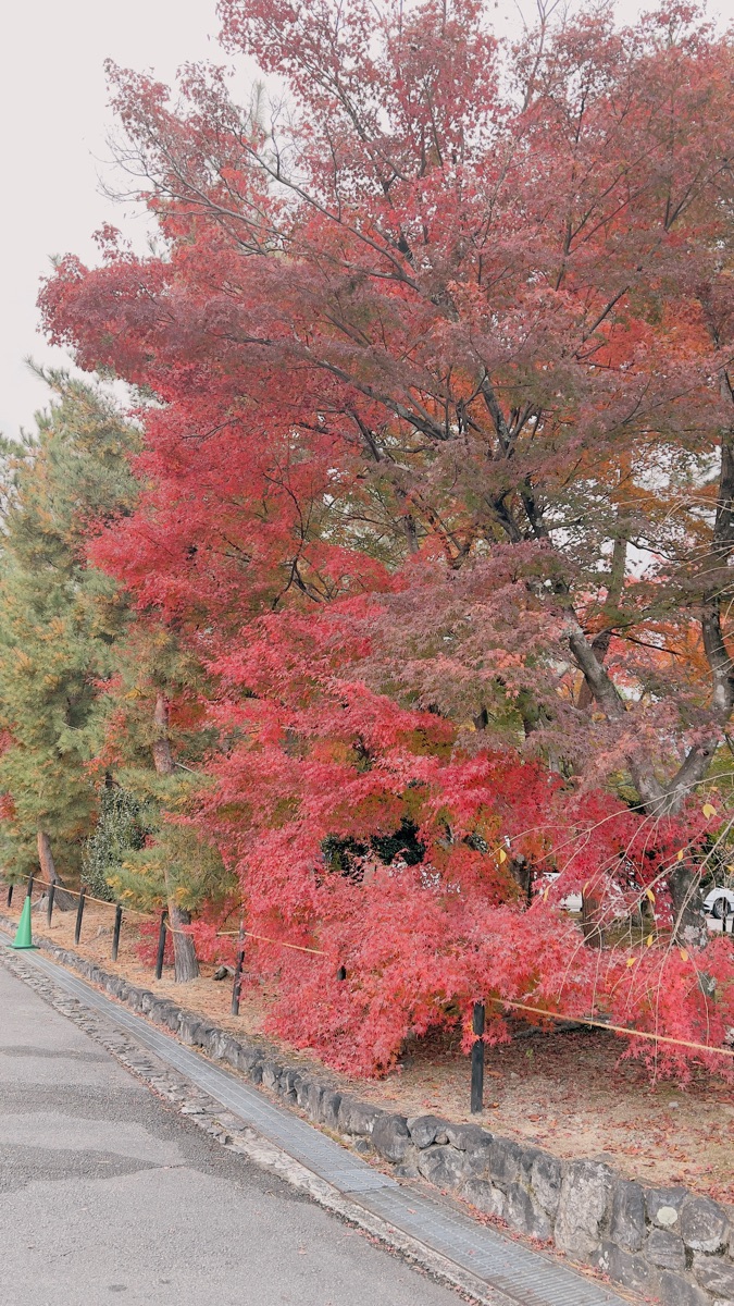 天龍寺 | 去趣 chicTrip