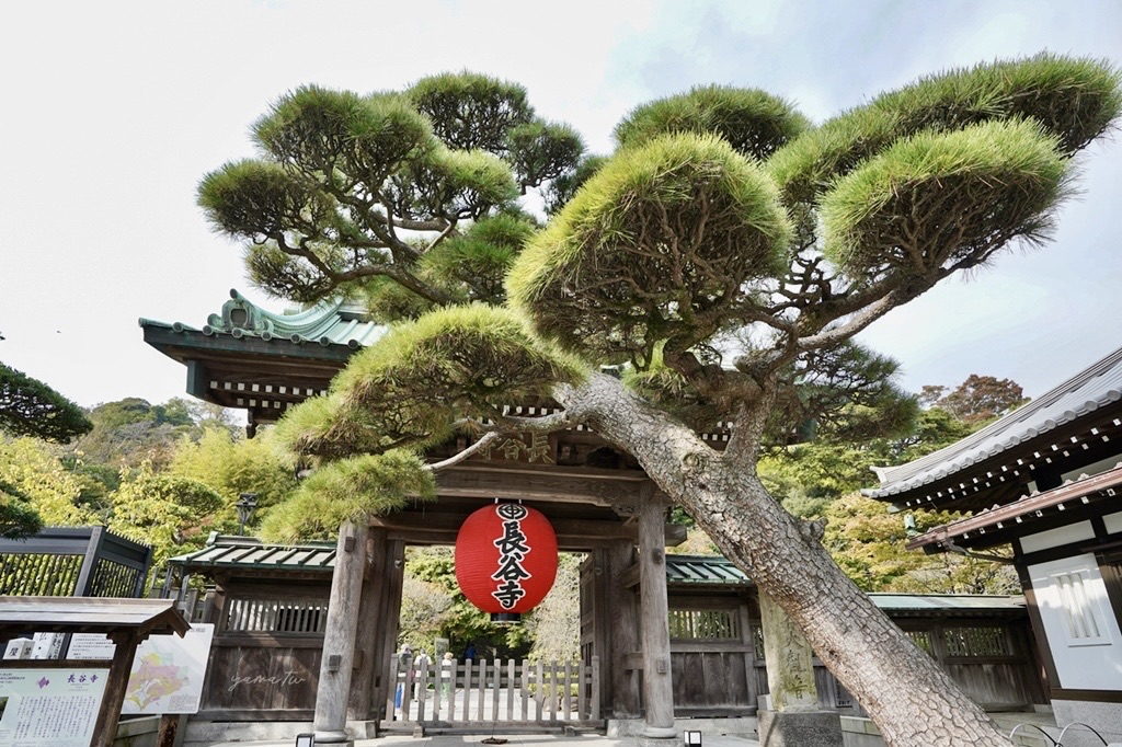 Hasedera | 去趣 chicTrip