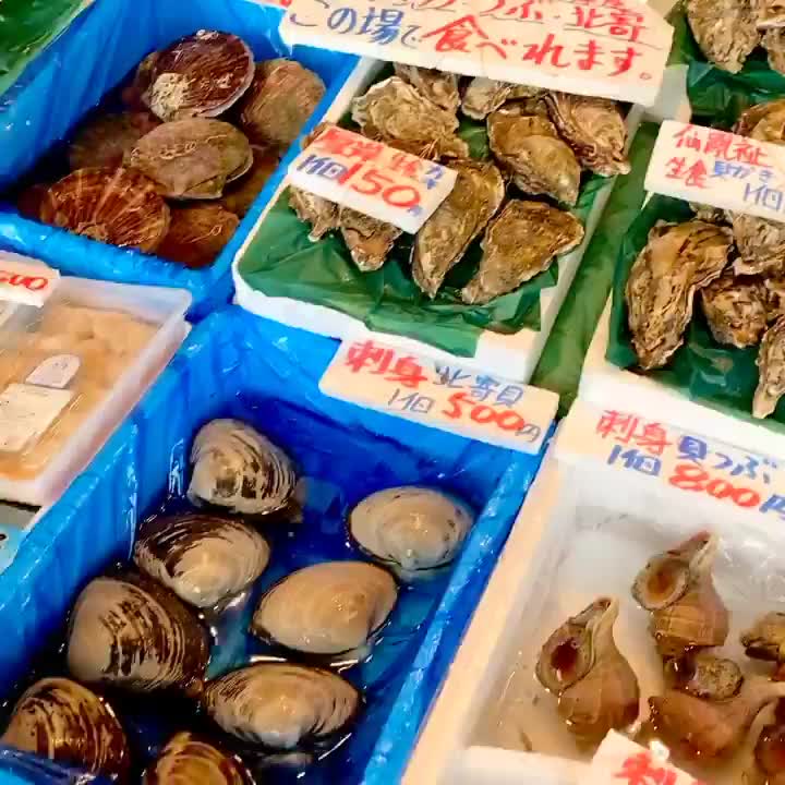 二條市場 | 去趣 chicTrip