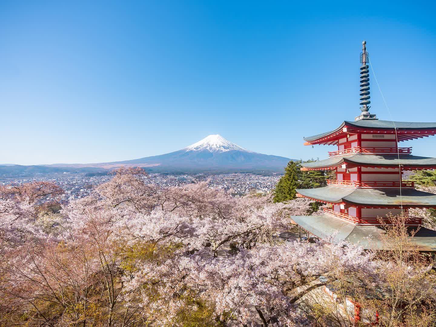 新倉富士淺間神社 | 去趣 chicTrip