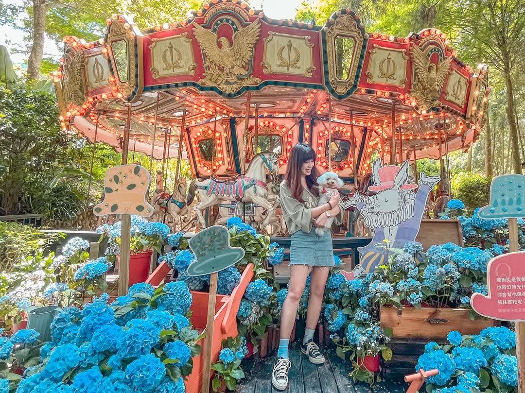 薰衣草森林新竹尖石店 | 去趣 chicTrip