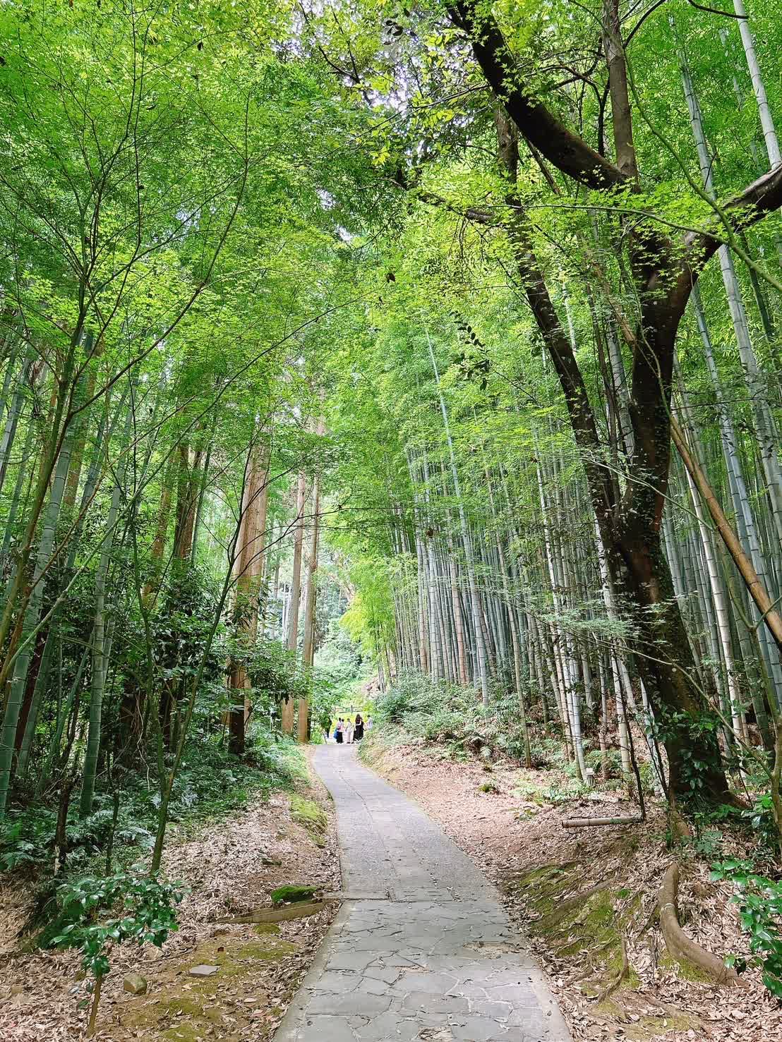 武雄神社 | 去趣 chicTrip