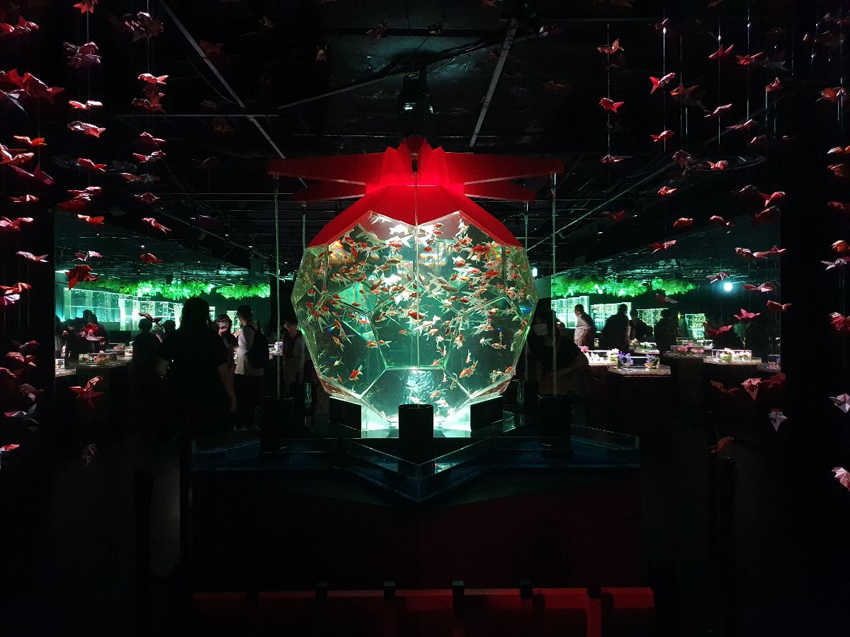 ART AQUARIUM MUSEUM 銀座金魚美術館 | 去趣 chicTrip