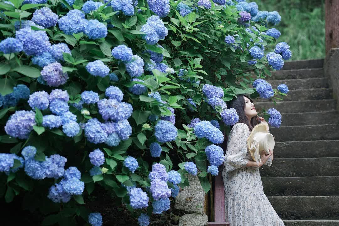 杉林溪森林生態渡假園區 | 去趣 chicTrip