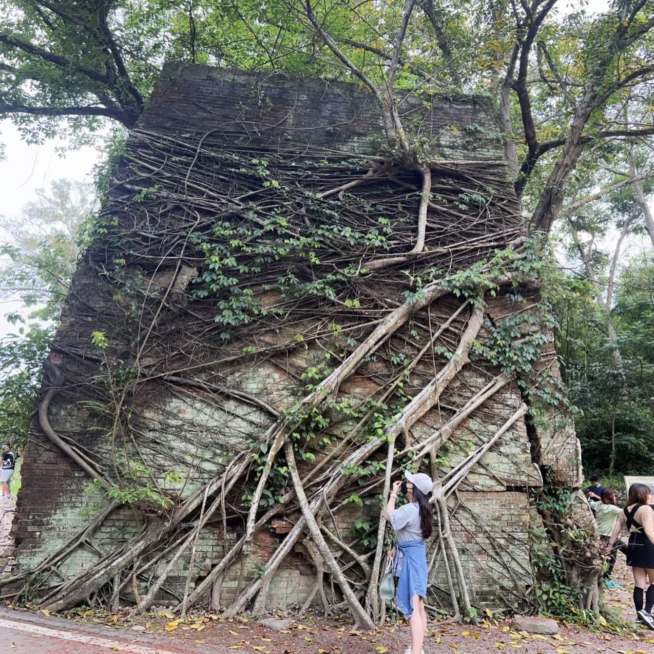 苗栗舊山線鐵道 | 去趣 chicTrip