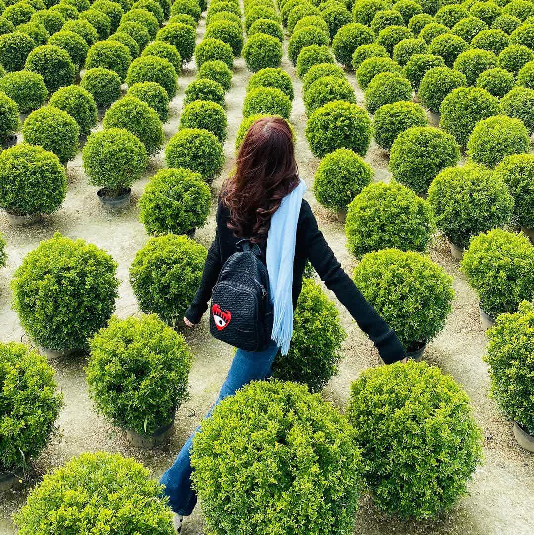 彰化田尾波波草 | 去趣 chicTrip