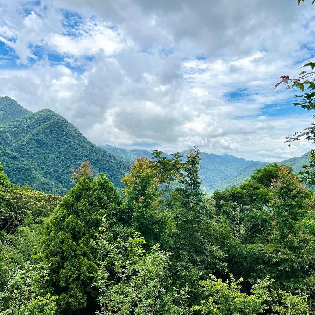 薰衣草森林新竹尖石店 | 去趣 chicTrip