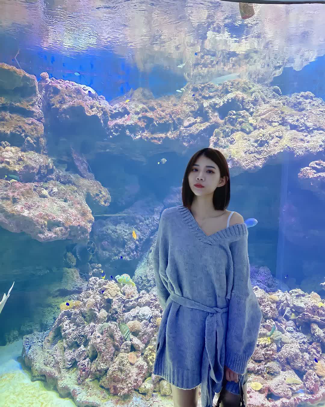 Xpark 水族館 | 去趣 chicTrip