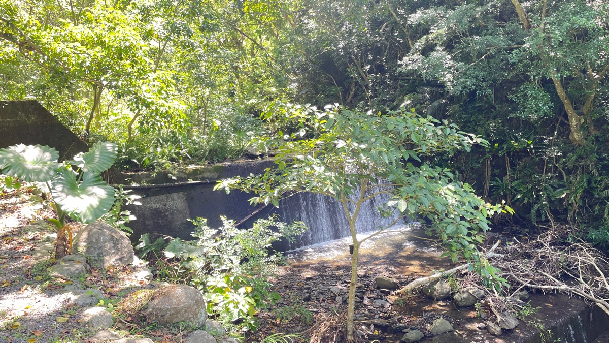 雙流國家森林遊樂區 | 去趣 chicTrip