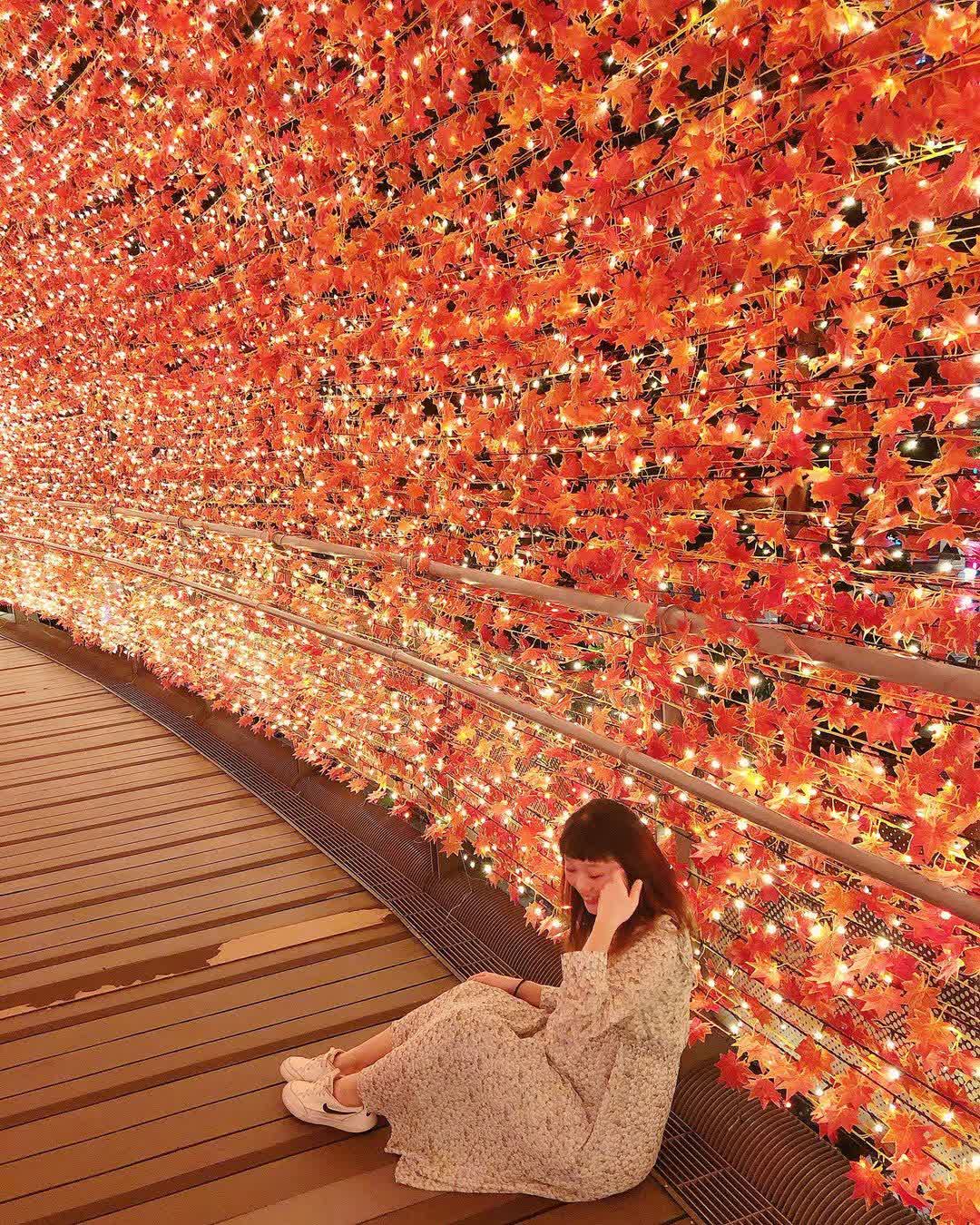 新北市政府市民廣場 | 去趣 chicTrip